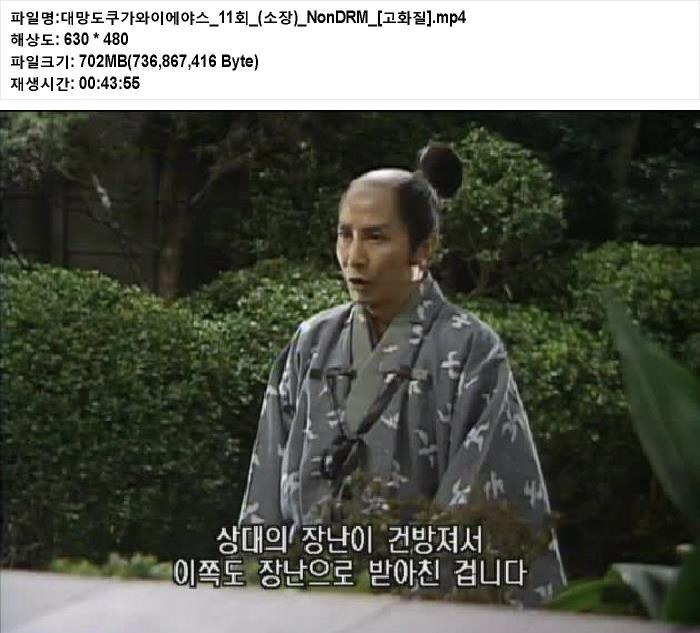 NHK 사극] 일본사극 대망(도쿠가와 이에야스)11 20